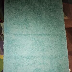 Teal Shaggy Area Rug